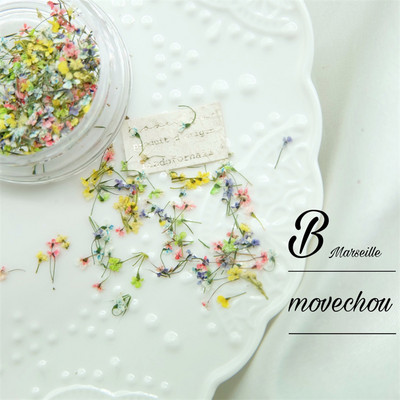 1PC serija osušenog cvijeća Umjetnički ukrasi za nokte Živopisne izuzetne prirodne mješovite boje uljane slike Cvjetni nakit za nokte Trend privjesci