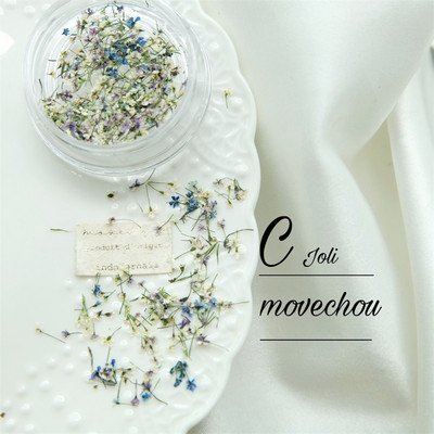 1PC serija osušenog cvijeća Umjetnički ukrasi za nokte Živopisne izuzetne prirodne mješovite boje uljane slike Cvjetni nakit za nokte Trend privjesci