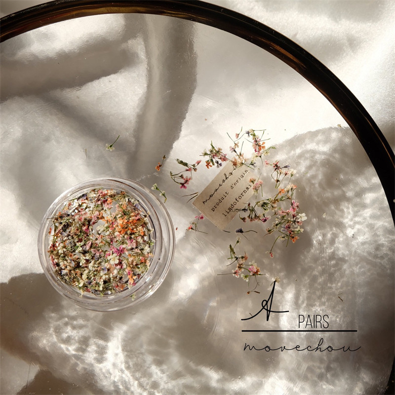 1PC serija osušenog cvijeća Umjetnički ukrasi za nokte Živopisne izuzetne prirodne mješovite boje uljane slike Cvjetni nakit za nokte Trend privjesci