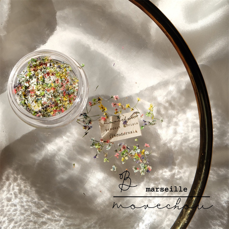 1PC serija osušenog cvijeća Umjetnički ukrasi za nokte Živopisne izuzetne prirodne mješovite boje uljane slike Cvjetni nakit za nokte Trend privjesci