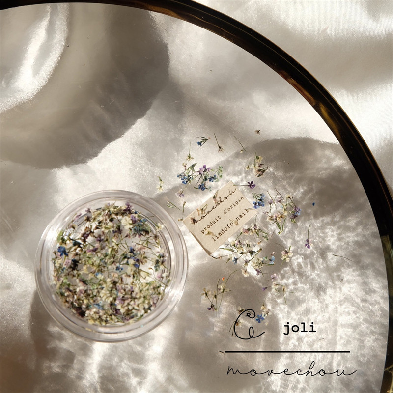 1PC serija osušenog cvijeća Umjetnički ukrasi za nokte Živopisne izuzetne prirodne mješovite boje uljane slike Cvjetni nakit za nokte Trend privjesci