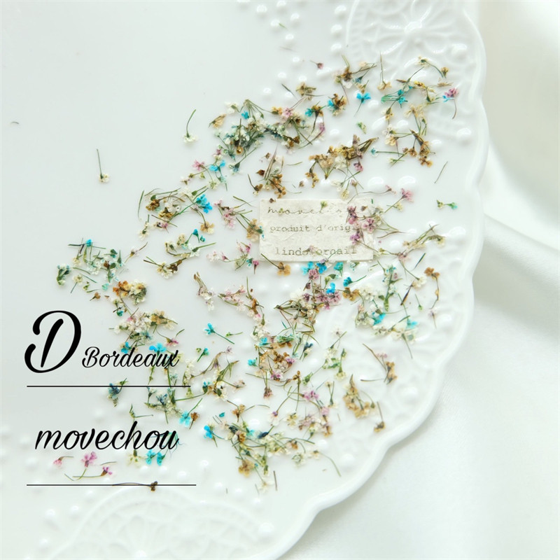 1PC serija osušenog cvijeća Umjetnički ukrasi za nokte Živopisne izuzetne prirodne mješovite boje uljane slike Cvjetni nakit za nokte Trend privjesci