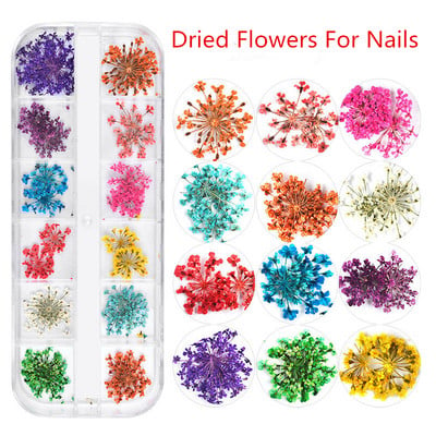 24db Dry Flower Nail Art Valódi szárított virágok 3D körömdíszekhez Virágos manikűr Virágos matricák Kiegészítő Köröm Dekor