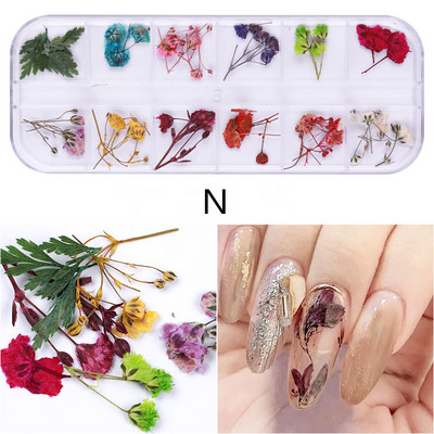 24 komada suhog cvijeća za nokte Pravo osušeno cvijeće za 3D ukrase za nokte Cvjetna manikura Cvjetne naljepnice Accessori Nail Decor