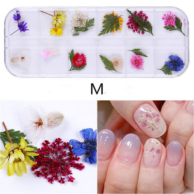 24 komada suhog cvijeća za nokte Pravo osušeno cvijeće za 3D ukrase za nokte Cvjetna manikura Cvjetne naljepnice Accessori Nail Decor