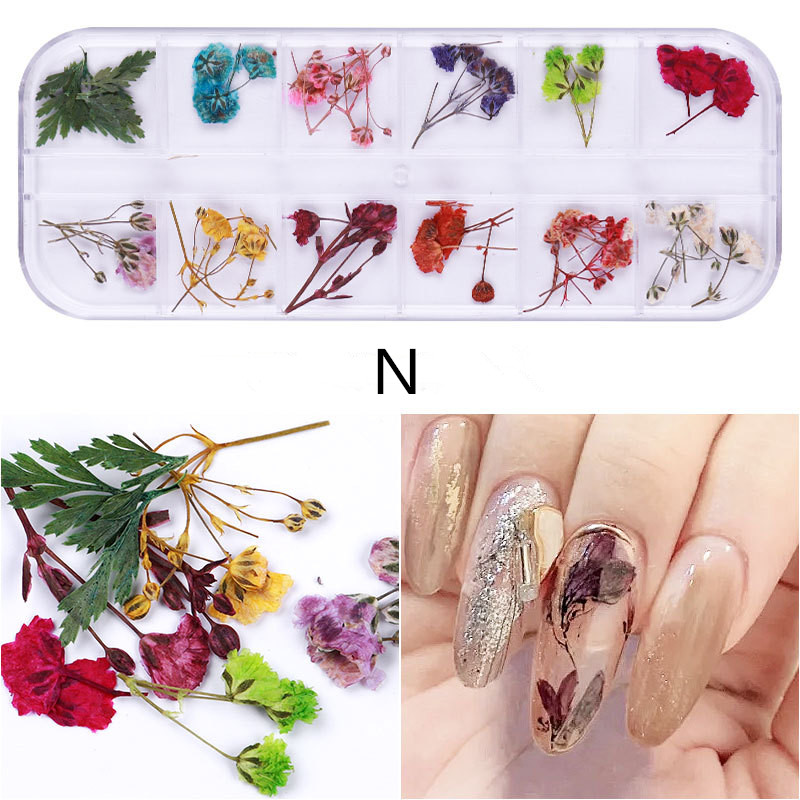 24 komada suhog cvijeća za nokte Pravo osušeno cvijeće za 3D ukrase za nokte Cvjetna manikura Cvjetne naljepnice Accessori Nail Decor