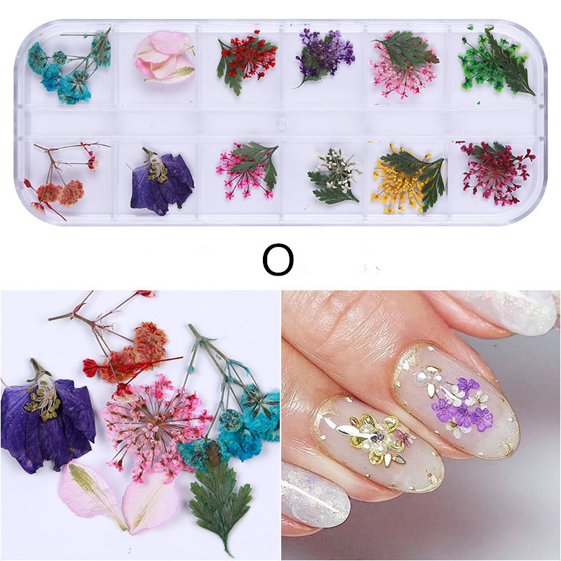 24 komada suhog cvijeća za nokte Pravo osušeno cvijeće za 3D ukrase za nokte Cvjetna manikura Cvjetne naljepnice Accessori Nail Decor