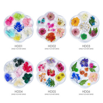 1 кутия 3D ноктопластика Декорация от сухи цветя Истински естествени сухи цветя Флорални талисмани за нокти Лак Маникюр Луксозни аксесоари за нокти