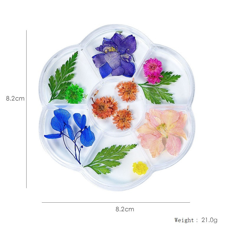 1 kutija 3D Nail Art Ukrasi od suhog cvijeća Pravo prirodno suho cvijeće Cvjetni privjesci za nokte Lak za manikuru Luksuzni dodaci za nokte