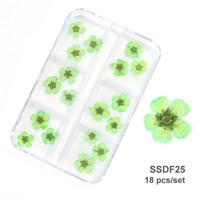 18db 3D szárított virág természetes virágos körömdíszítések szett körömbűvölők minták köröm kellékek profiknak Kiegészítők