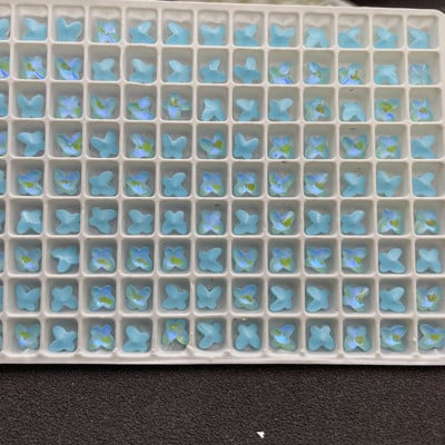 50 kom. Dijelovi šećernog medvjeda Privjesci za nokte Prozirni dijamanti slatkiša Dodaci za nokte 3D Kawaii pribor za uređenje noktiju 4,3*6,6 mm