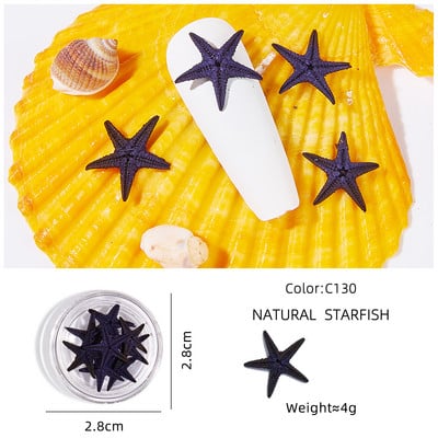 1dobozos Starfish körömdíszítések 3D színes, természetes tengeri csillagok körömdíszek Kék-óceán stílusú manikűr 3D varázslatos dekorációk