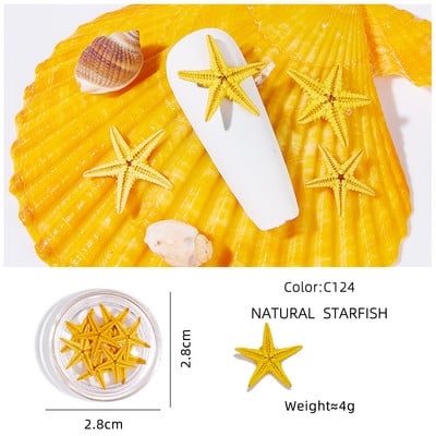 1dobozos Starfish körömdíszítések 3D színes, természetes tengeri csillagok körömdíszek Kék-óceán stílusú manikűr 3D varázslatos dekorációk