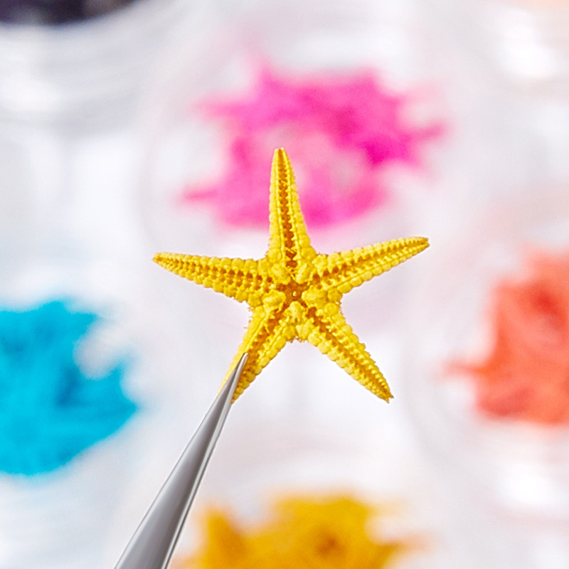 1dobozos Starfish körömdíszítések 3D színes, természetes tengeri csillagok körömdíszek Kék-óceán stílusú manikűr 3D varázslatos dekorációk