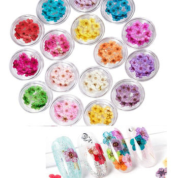 10PCS 3D стикер за изсушени цветя за нокти Цвете с пет венчелистчета 16 цвята Естествени истински сухи цветя Стикери за нокти за Направи си сам декорации за нокти