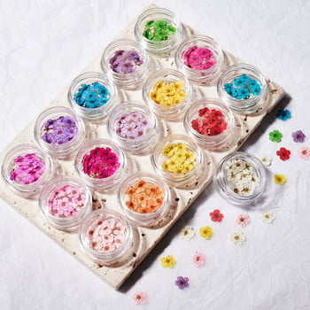 10PCS 3D стикер за изсушени цветя за нокти Цвете с пет венчелистчета 16 цвята Естествени истински сухи цветя Стикери за нокти за Направи си сам декорации за нокти