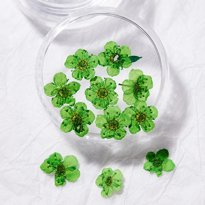 10 TK 3D küünte kuivatatud lilledega kleebis Viie kroonlehega lill 16 värviga naturaalse tõelise kuiva lillega küünekleebised isetegemise küünte kaunistuste jaoks