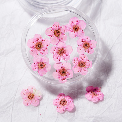 10 TK 3D küünte kuivatatud lilledega kleebis Viie kroonlehega lill 16 värviga naturaalse tõelise kuiva lillega küünekleebised isetegemise küünte kaunistuste jaoks