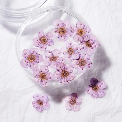 10 TK 3D küünte kuivatatud lilledega kleebis Viie kroonlehega lill 16 värviga naturaalse tõelise kuiva lillega küünekleebised isetegemise küünte kaunistuste jaoks