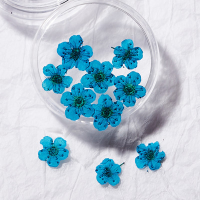 10 TK 3D küünte kuivatatud lilledega kleebis Viie kroonlehega lill 16 värviga naturaalse tõelise kuiva lillega küünekleebised isetegemise küünte kaunistuste jaoks