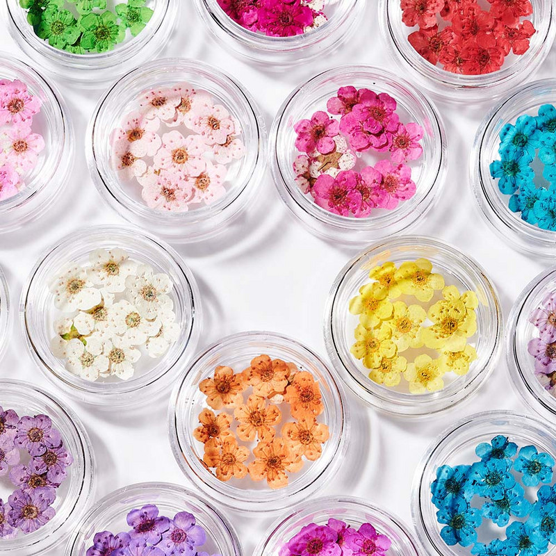 10 TK 3D küünte kuivatatud lilledega kleebis Viie kroonlehega lill 16 värviga naturaalse tõelise kuiva lillega küünekleebised isetegemise küünte kaunistuste jaoks