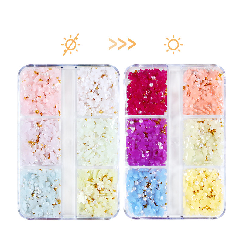 6 rešetki promijenjene boje Akrilni cvjetni dijelovi za nokte Mješovite čelične perle Privjesci Dizajn Ukrasi za nokte DIY Dodaci za nakit