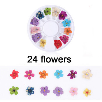 3D Natural Five Petal Flower Nail Art Charm Ανάγλυφα αποξηραμένα λουλούδια Διακοσμητικά αξεσουάρ για UV Gel Nail Professional Supplies