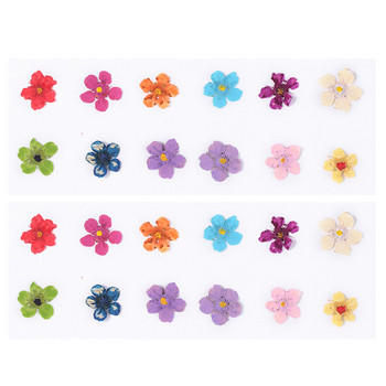 3D Natural Five Petal Flower Nail Art Charm Ανάγλυφα αποξηραμένα λουλούδια Διακοσμητικά αξεσουάρ για UV Gel Nail Professional Supplies