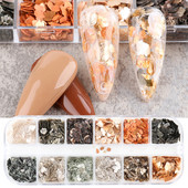 1 cutie Decoratiuni pentru arta unghiilor Scoici de abalone neregulate Felii de scoici de mare Fulgi de unghii 3D Paillette Manichiura Paiete Accesorii TRYM-1