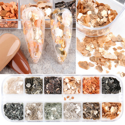 1 cutie Decoratiuni pentru arta unghiilor Scoici de abalone neregulate Felii de scoici de mare Fulgi de unghii 3D Paillette Manichiura Paiete Accesorii TRYM-1