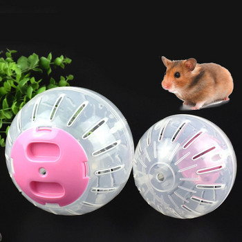 Παιχνίδι προπόνησης χάμστερ Πλαστικό εξωτερικό αθλητικό παιχνίδι μπάλας γηπεδικός αρουραίος Μικρό κατοικίδιο τρωκτικό ποντίκι που κάνουν τζόκινγκ Μπάλες γυμναστικής Gerbil Rat