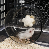Silent Exercise Wheel Plastic Spinner Hamster Acrylic Diacer Running Wheels for Rats Ποντίκια Gerbils Διάμετρος δίσκου 5,12"