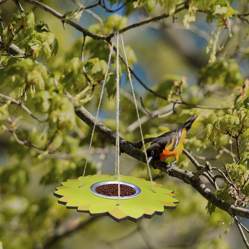 Madáretető kültéri felfüggesztésű madáretető etető madáretető lusta lógó kreatív kerti etető madár ivóvíz