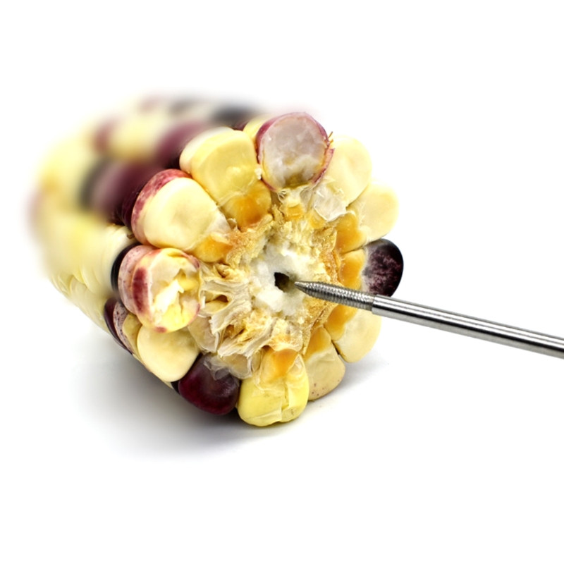 Uus linnutoidu kahvlihoidik roostevabast terasest köögiviljade puuviljasöötja linnupuur Papagoi puuviljakahvli tarvikud linnutarbed 5 stiili