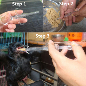 Young Birds Chick Feeding Syringe Parrot Pigeon Quail Nestling Feeder Given Medicines Feeder Animal Earing Breeding Αξεσουάρ