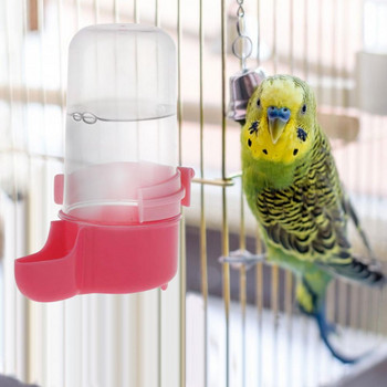 Хранилка за вода за птици Автоматичен фонтан за пиене Клетка за папагали за домашни любимци Бутилка Чаша за пиене Купички Автоматичен дозатор за вода за птици