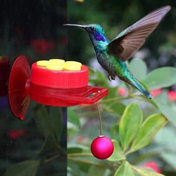 Bird Feeder Χειρός τροφοδότης κολιμπρί με βεντούζα Εξωτερικό παράθυρο κολίβριο Drinker με βούρτσα καθαρισμού Αξεσουάρ πουλιών