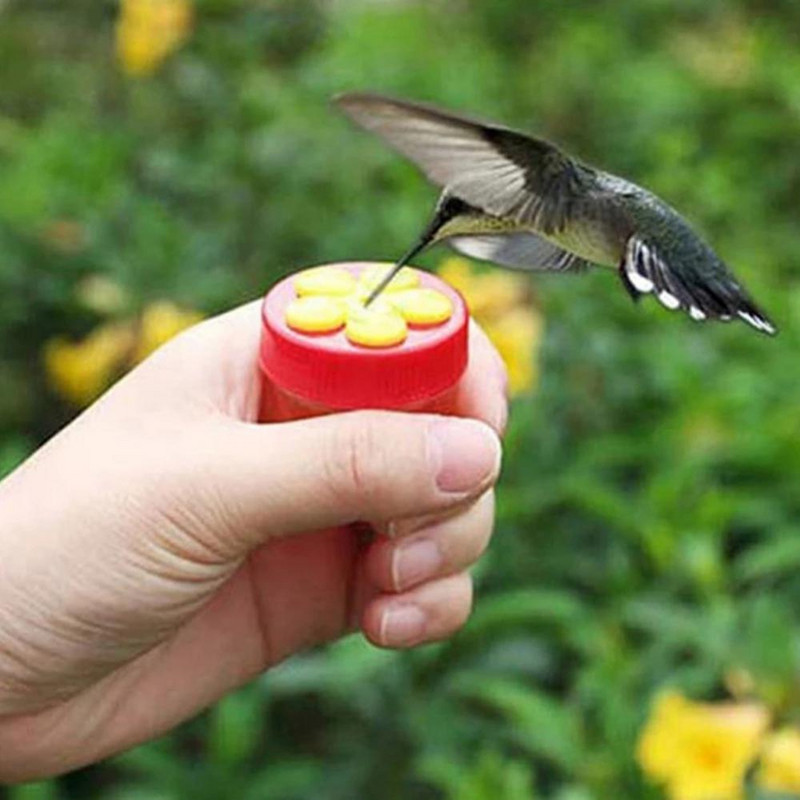Madáretető Kézi kolibri etető tapadókoronggal kültéri ablakos Kolibri itató tisztítókefével Madártartozékok