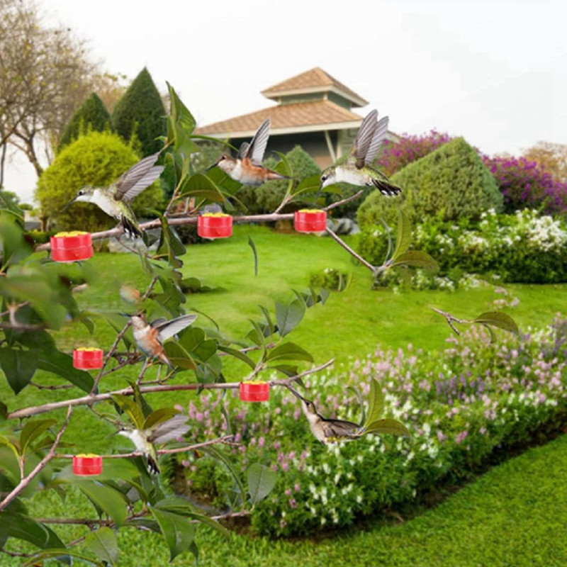 5 kom Hranilica za ptice Vanjska hranilica za ptice Ptice na otvorenom Viseća pojilica Hranilica Dozator Stezaljka Hranilica