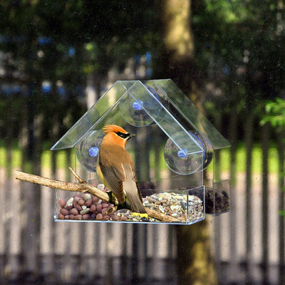 Прозрачна стъклена хранилка за птици Прозорец за гледане Хранилка за птици Хотелска маса Семена за фъстъци Висящи засмукване Alimentador Адсорбция Тип къща