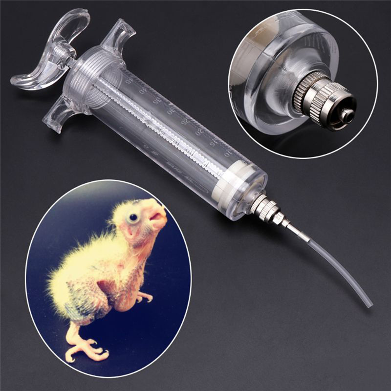 Parrot Chick Feeding Rearing Gavage Head Syringe Hose Birds Manual Feeding Syringe Injector Supplies Bird Feeders 10/20/50/100ml