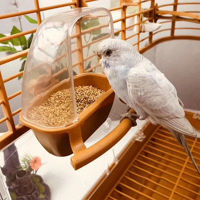 Paukščių narvelio lesyklėlė Papūga paukščiai Vandens kabantis dubuo Parakeet tiekimo dėžutė Naminių gyvūnėlių narvelis plastikinis maisto konteineris Paukščių reikmenys 1 vnt