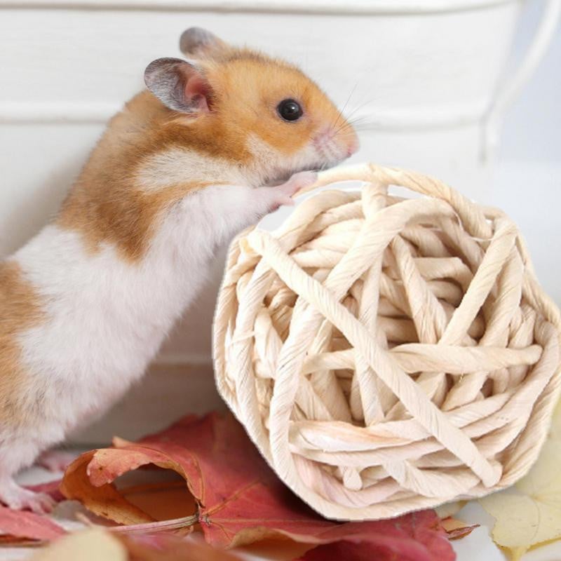 Jucării de mestecat pentru hamsteri Chinchilla durabile din lemn Jucării de mestecat Accesorii cu pix de joc Jucării de mestecat pentru hamster porcușor de Guineea