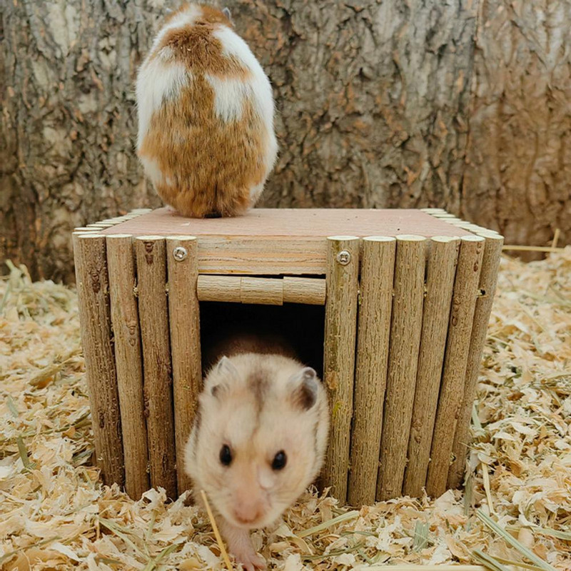 Elegantna kućica za hrčke Ukrasno gnijezdo za hrčke Ne ostavlja dlačice Lako se čisti Kućni ljubimci Štakori se penju na kolibu za igru