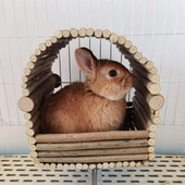 Ukrasna kućica za zečeve Koliba za pletenje Gnijezdo za male životinje Drveni dvorac Poluzatvorena koliba za skrovište za hrčka Igračka za žvakanje za kućne ljubimce