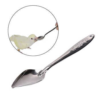 Universal 10ml 20ml Parrot Feeding Syringe Hose Parrot Feeder Syringe High Quality Bird Needle Feeder