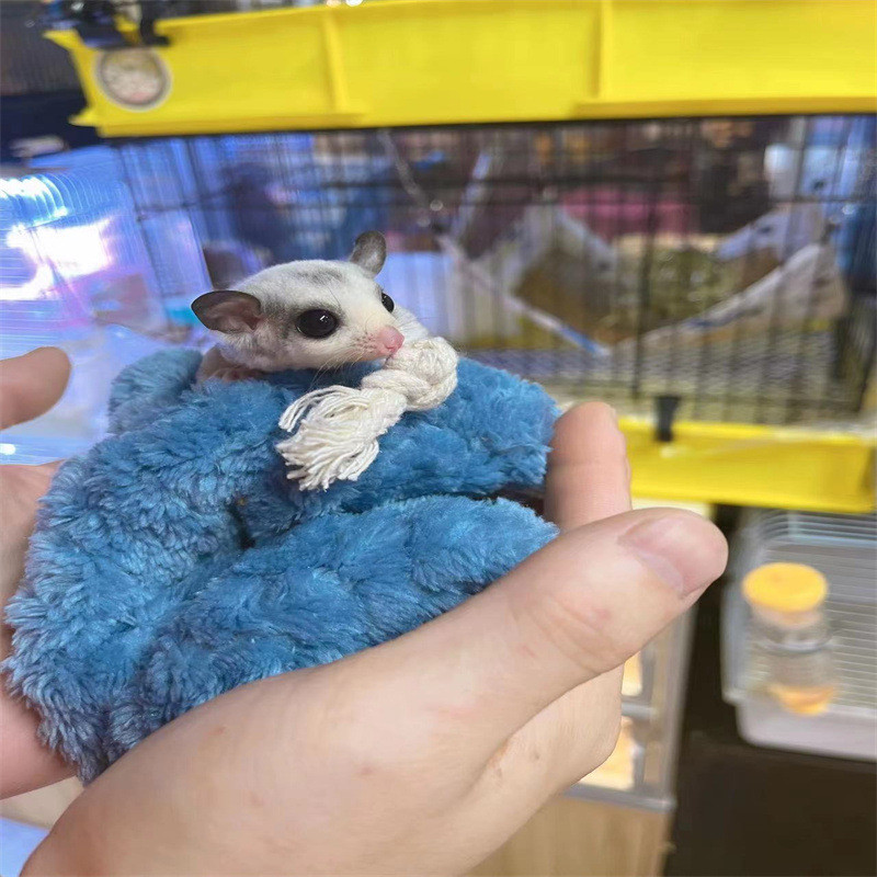 Mini húzózsinóros hordozható táska hörcsög táska Hörcsög ház meleg puha ágyak és házak rágcsálóketrec tengerimalac Kiegészítők Kisállat