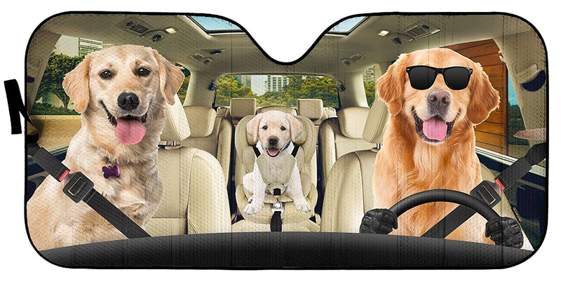 Golden Retriever napszemüveget viselő autós szélvédő napernyő, vidám labrador retriever család összecsukható napernyővédő