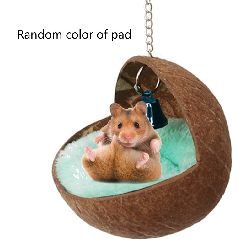 12 cm kāmju slēptuve ar kokosriekstu bumbu iekarināma šūpuļtīkla gulta ar plīša paklājiņa zvaniņu būri maziem dzīvniekiem putnu planierim jūrascūciņas mājdzīvnieku ligzda