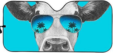 Sieviešu acis ar garām skropstām priekšējā vējstikla ēna grims rozā mirdzoša acu ēnas drukas saliekamais saulessargs sedan kravas apvidus auto